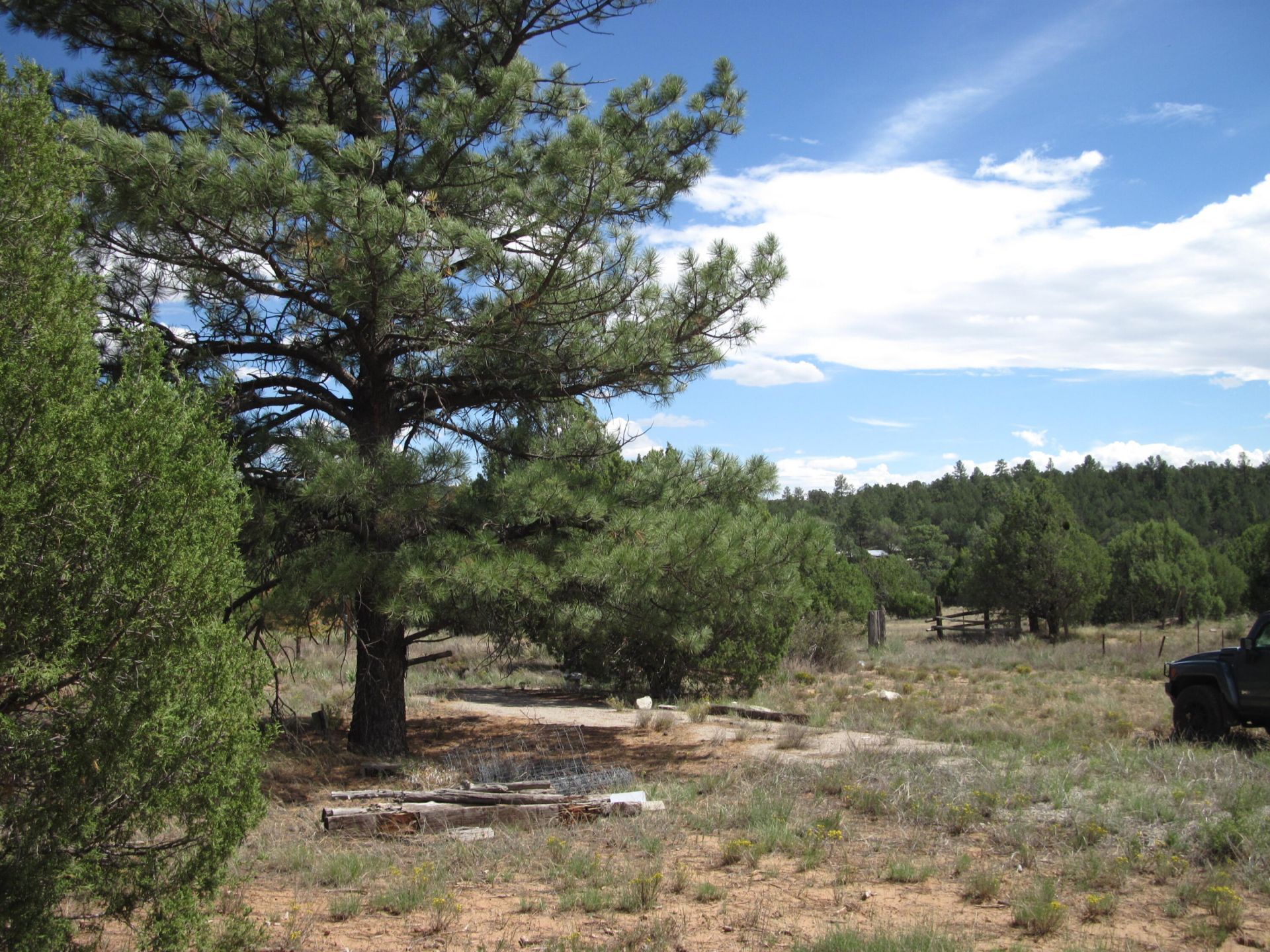 403 Juan Tomas Road, Tijeras, NM 87059 Main Photo