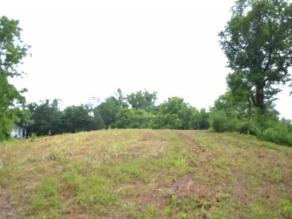 2390 (Lot 2) Pea Ridge Fire Town Rd, Celina, TN 38551