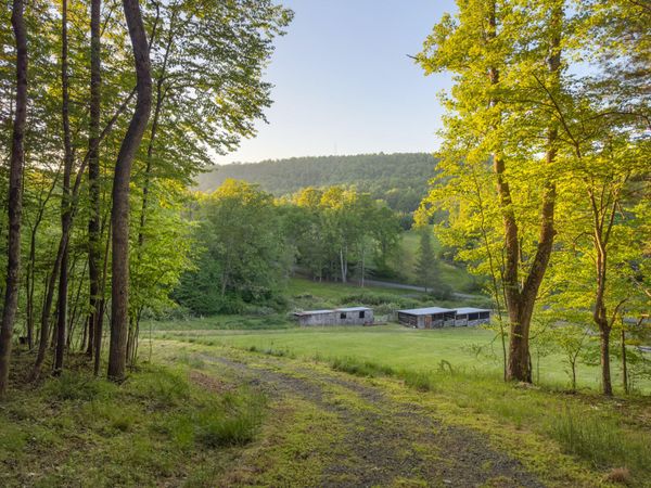 65 Acres Dugspur Rd, Dugspur, VA 24325