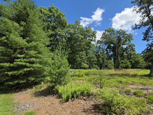 Lot 542 Weasel Road, Dingmans Ferry, PA 18328