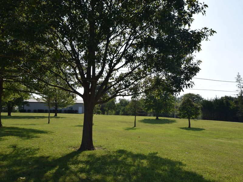 3900 Hardin Wapakoneta Road, Sidney, OH 45365 Photo 79