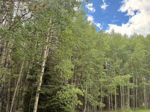 616 Spring Valley Lane, Florissant, CO 80816