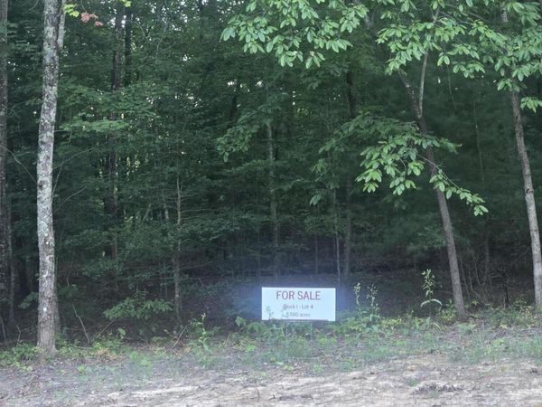 Lot 4 Bk I Ravenwood Drive, Wartburg, TN 37887