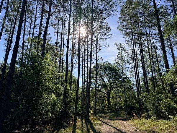 6650 NW 110th Ave, Chiefland, FL 32626
