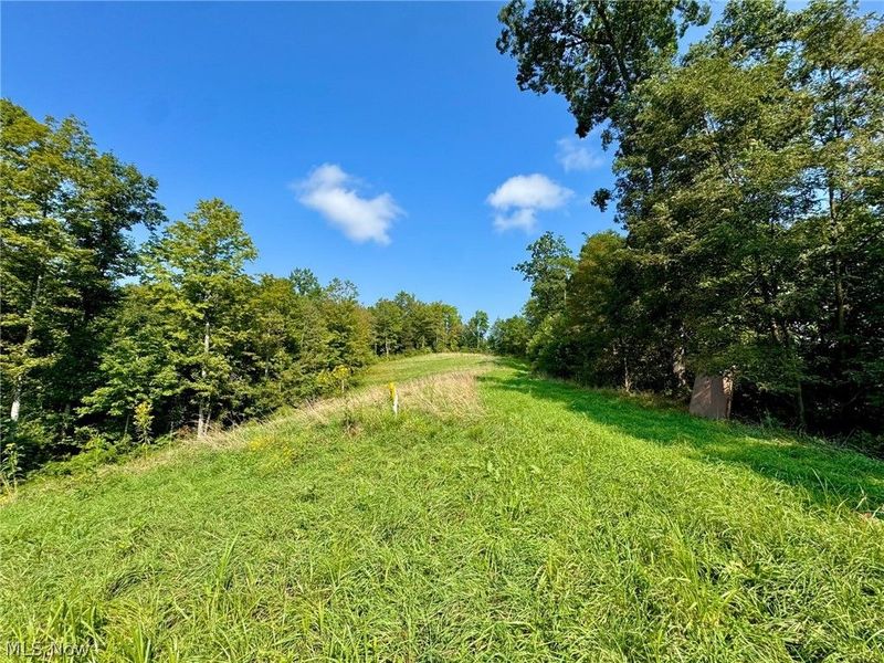 43334 Township Road 971, Lewisville, OH 43793 Photo 10
