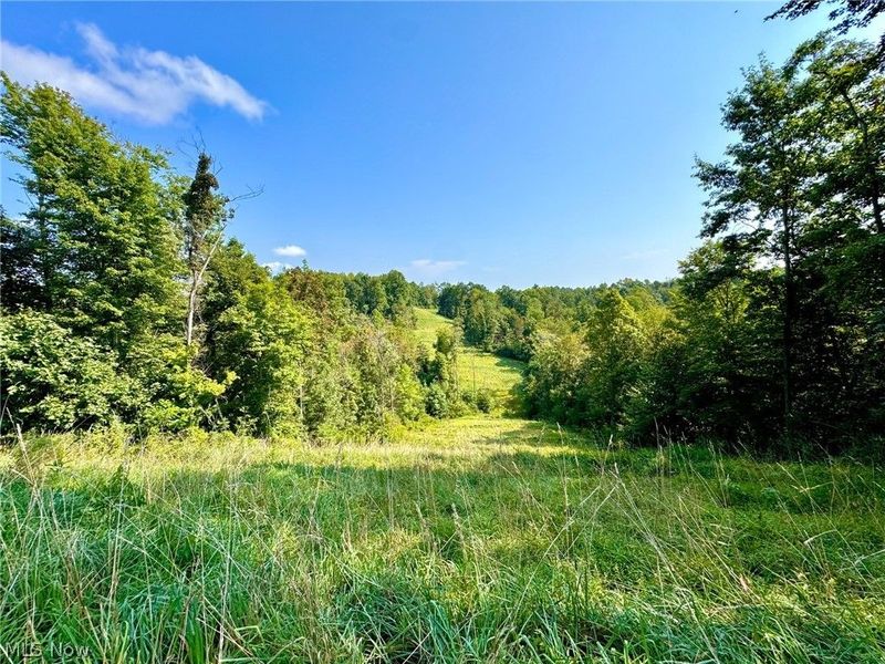 43334 Township Road 971, Lewisville, OH 43793 Photo 11