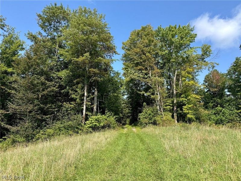 43334 Township Road 971, Lewisville, OH 43793 Photo 12