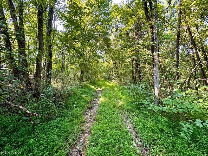 43334 Township Road 971, Lewisville, OH 43793 Photo 15