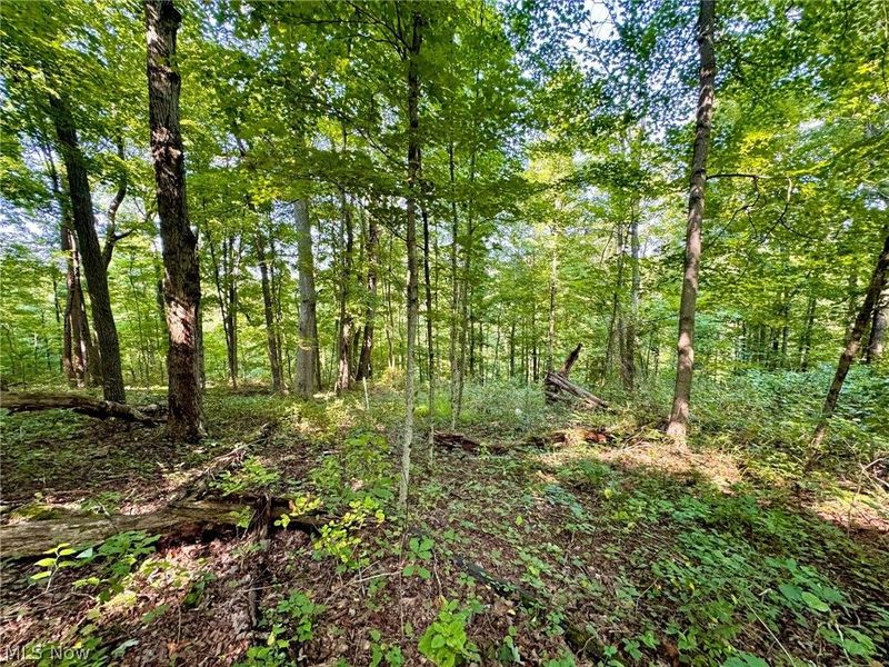 43334 Township Road 971, Lewisville, OH 43793 Photo 16