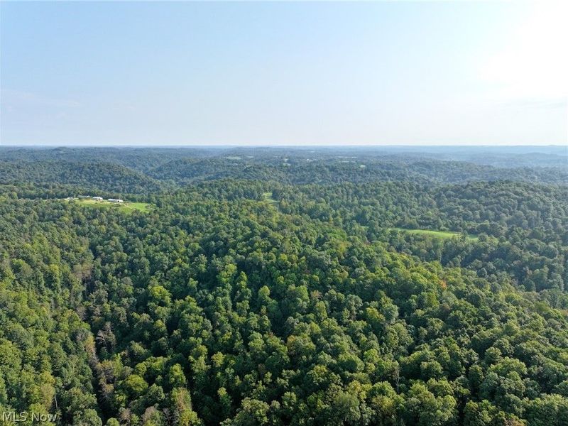 43334 Township Road 971, Lewisville, OH 43793 Photo 17