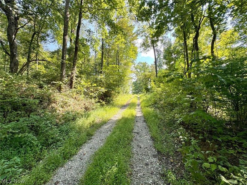 43334 Township Road 971, Lewisville, OH 43793 Photo 19