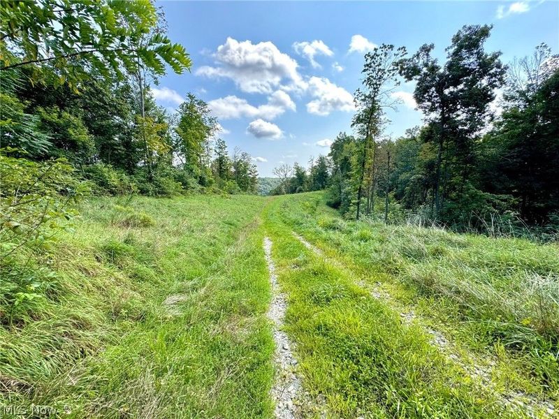 43334 Township Road 971, Lewisville, OH 43793 Photo 21