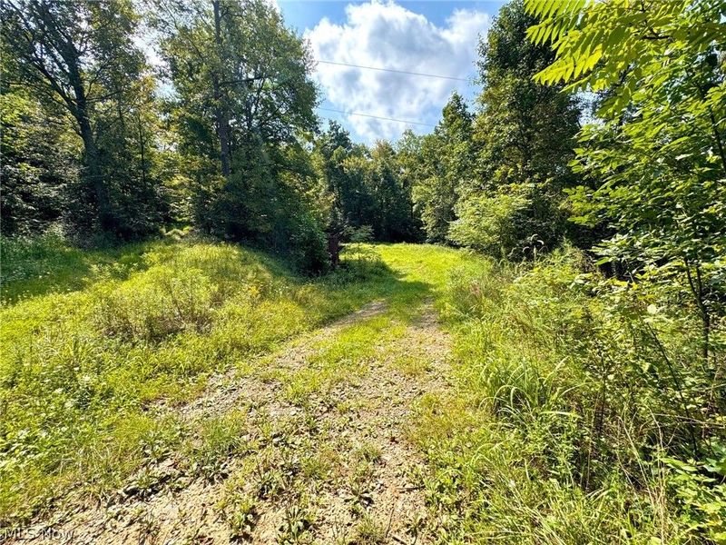 43334 Township Road 971, Lewisville, OH 43793 Photo 27