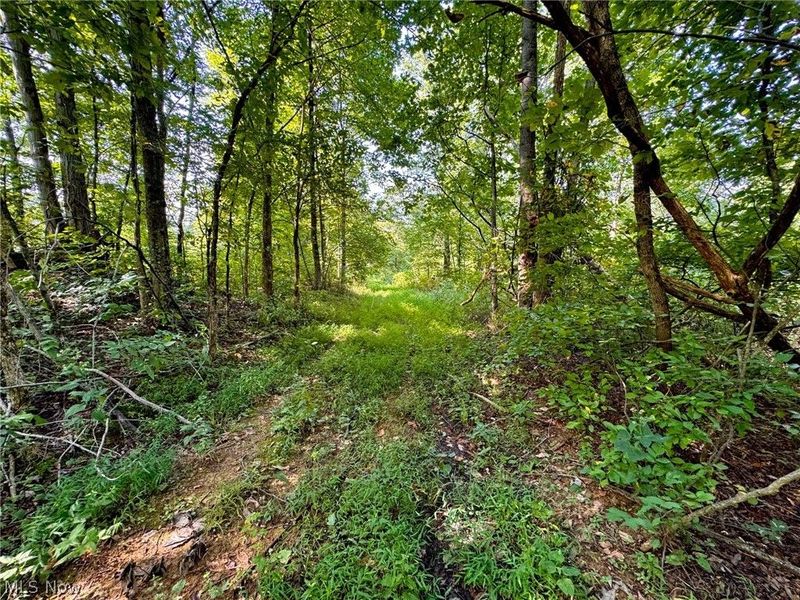 43334 Township Road 971, Lewisville, OH 43793 Photo 28