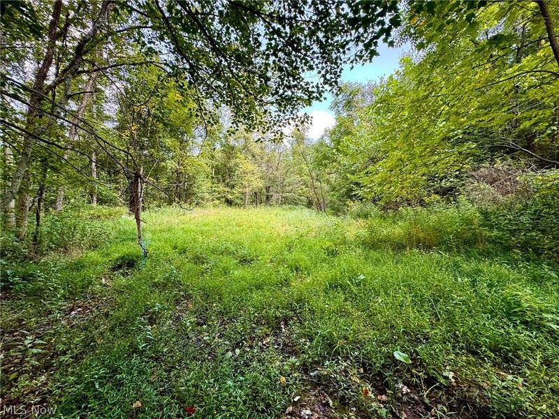43334 Township Road 971, Lewisville, OH 43793 Photo 29