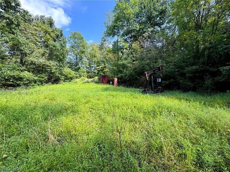 43334 Township Road 971, Lewisville, OH 43793 Photo 30