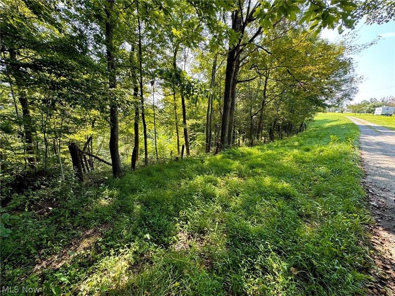 43334 Township Road 971, Lewisville, OH 43793 Photo 6