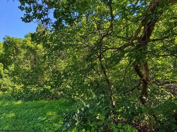 681 KNOTTSVILLE Road, Grafton, WV 26354