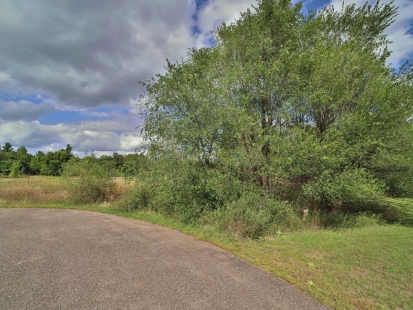 TBD Grouse Court, Little Falls, MN 56345