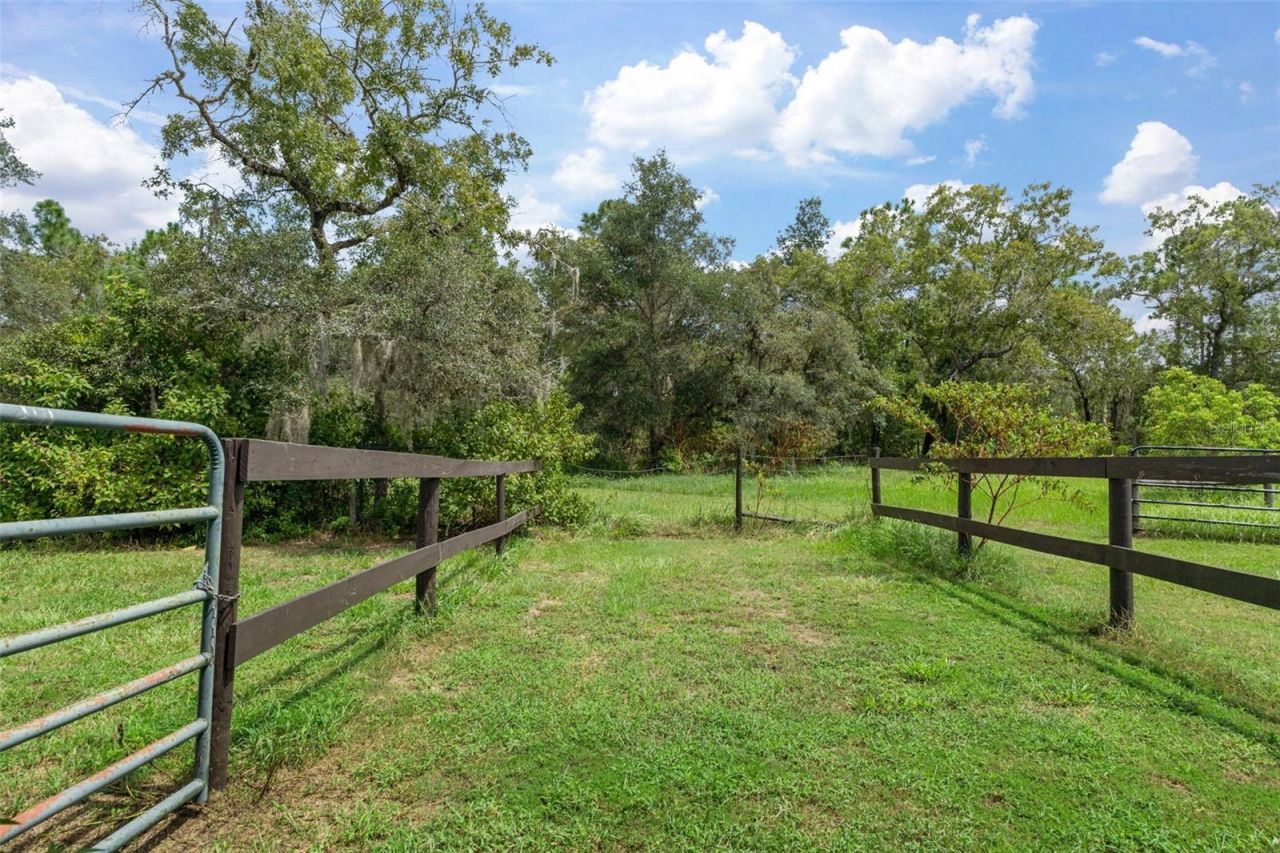 6310 W Corral Place, Beverly Hills, FL 34465 Photo