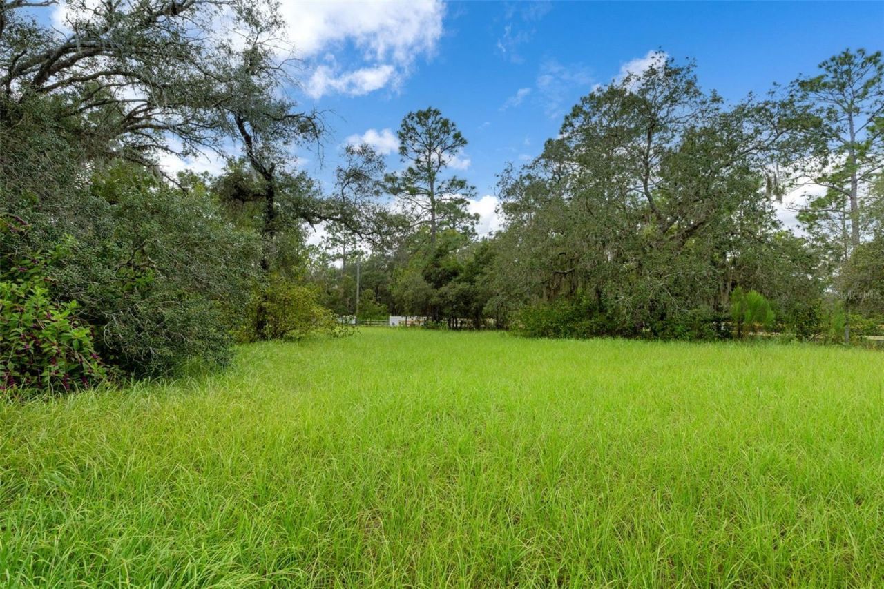 6310 W Corral Place, Beverly Hills, FL 34465 Photo