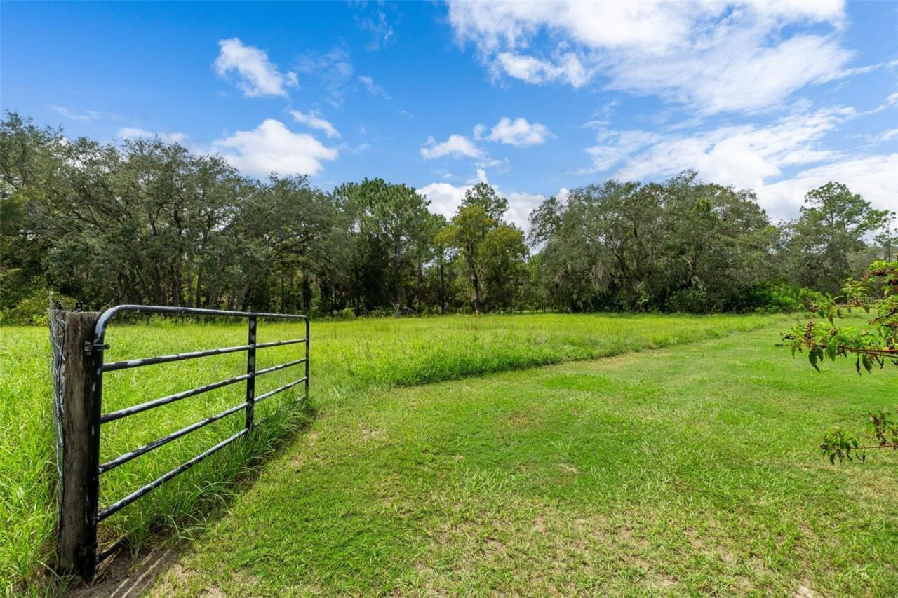 6310 W Corral Place, Beverly Hills, FL 34465 Photo