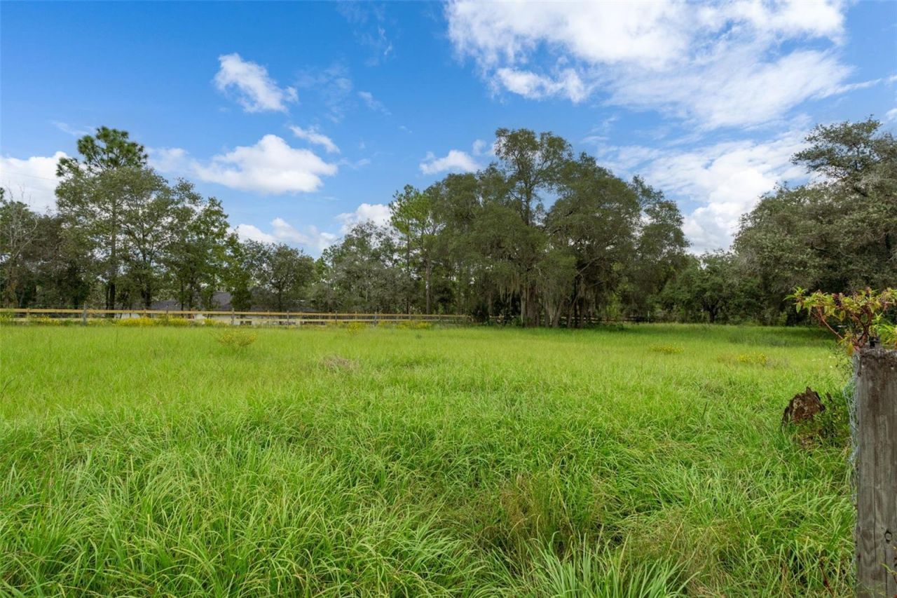 6310 W Corral Place, Beverly Hills, FL 34465 Photo