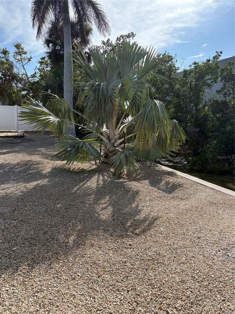 5032 Calle Minorga, Sarasota, FL 34242 Photo