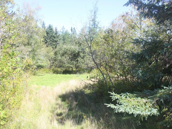 193 Golding Road , Perry, ME 04667