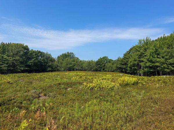 Lot 14 Off Bartlett Street , Machias, ME 04654
