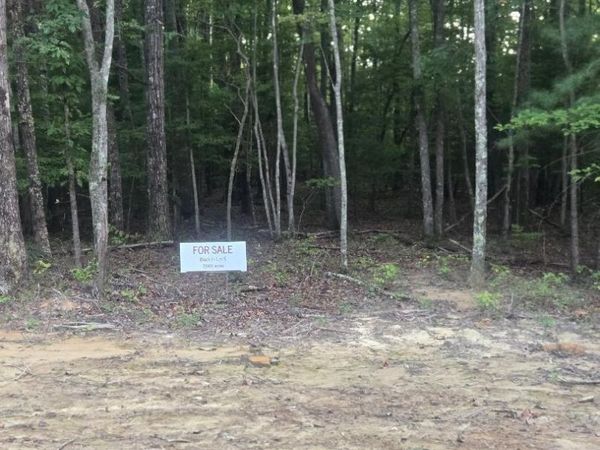 Lot 5 Bk I Ravenwood Drive, Wartburg, TN 37887