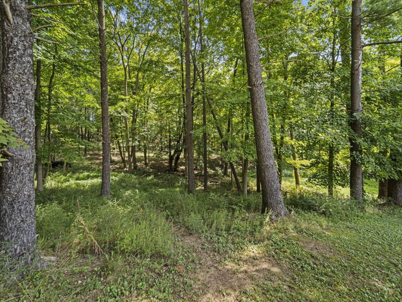 8936 Keys Road, Mount Vernon, OH 43050 Photo 70