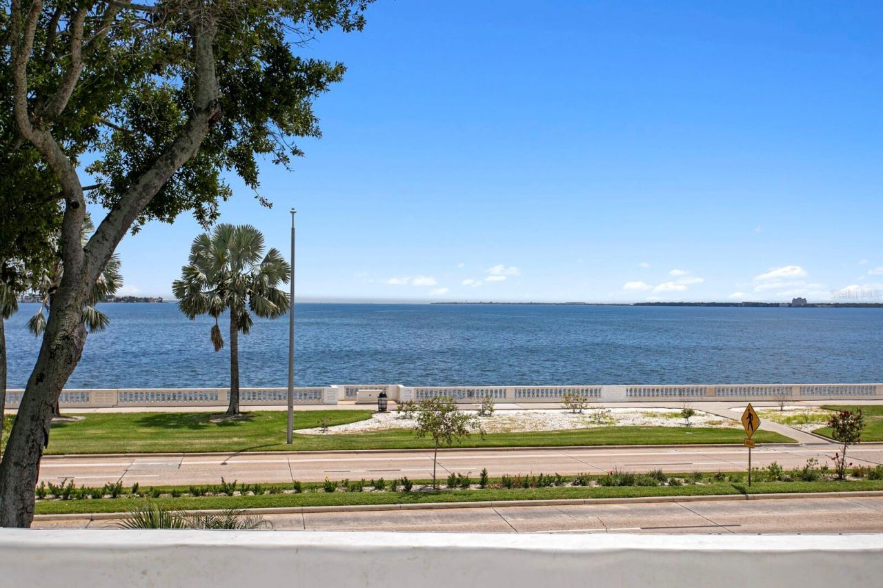 907 Bayshore Boulevard, Tampa, FL 33606 Photo