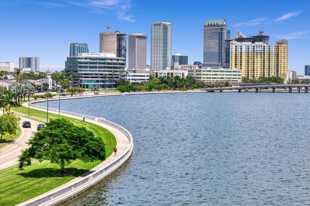 907 Bayshore Boulevard, Tampa, FL 33606 Photo