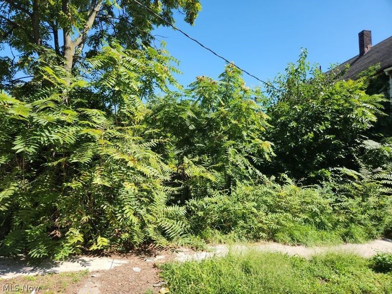1085 E 66th Street, Cleveland, OH 44103 Photo 10