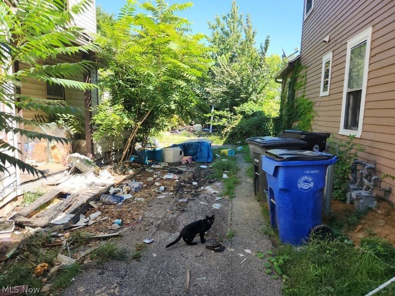 1085 E 66th Street, Cleveland, OH 44103 Photo 4