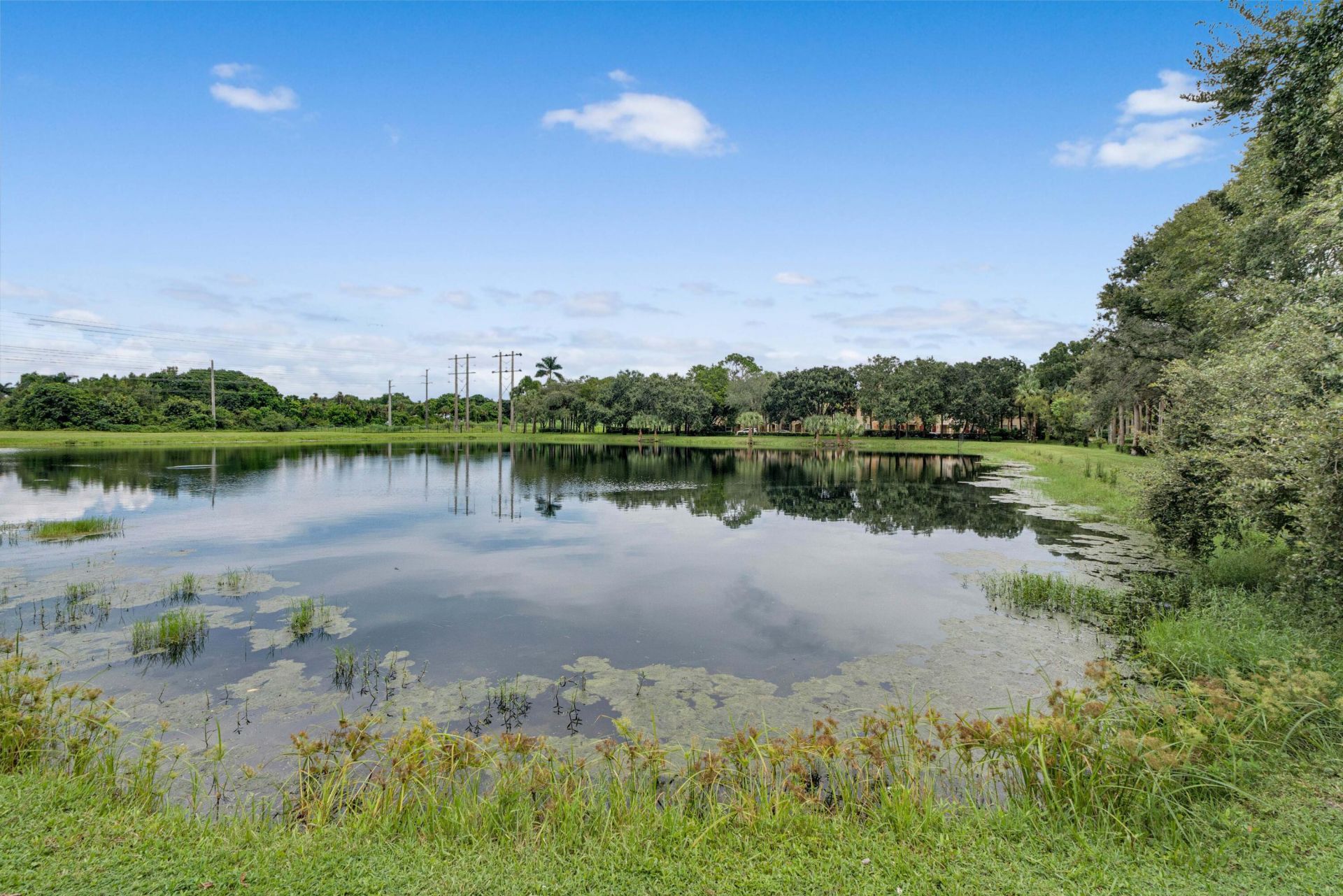 3933 Monarch Lane, Coconut Creek, FL 33073 Photo