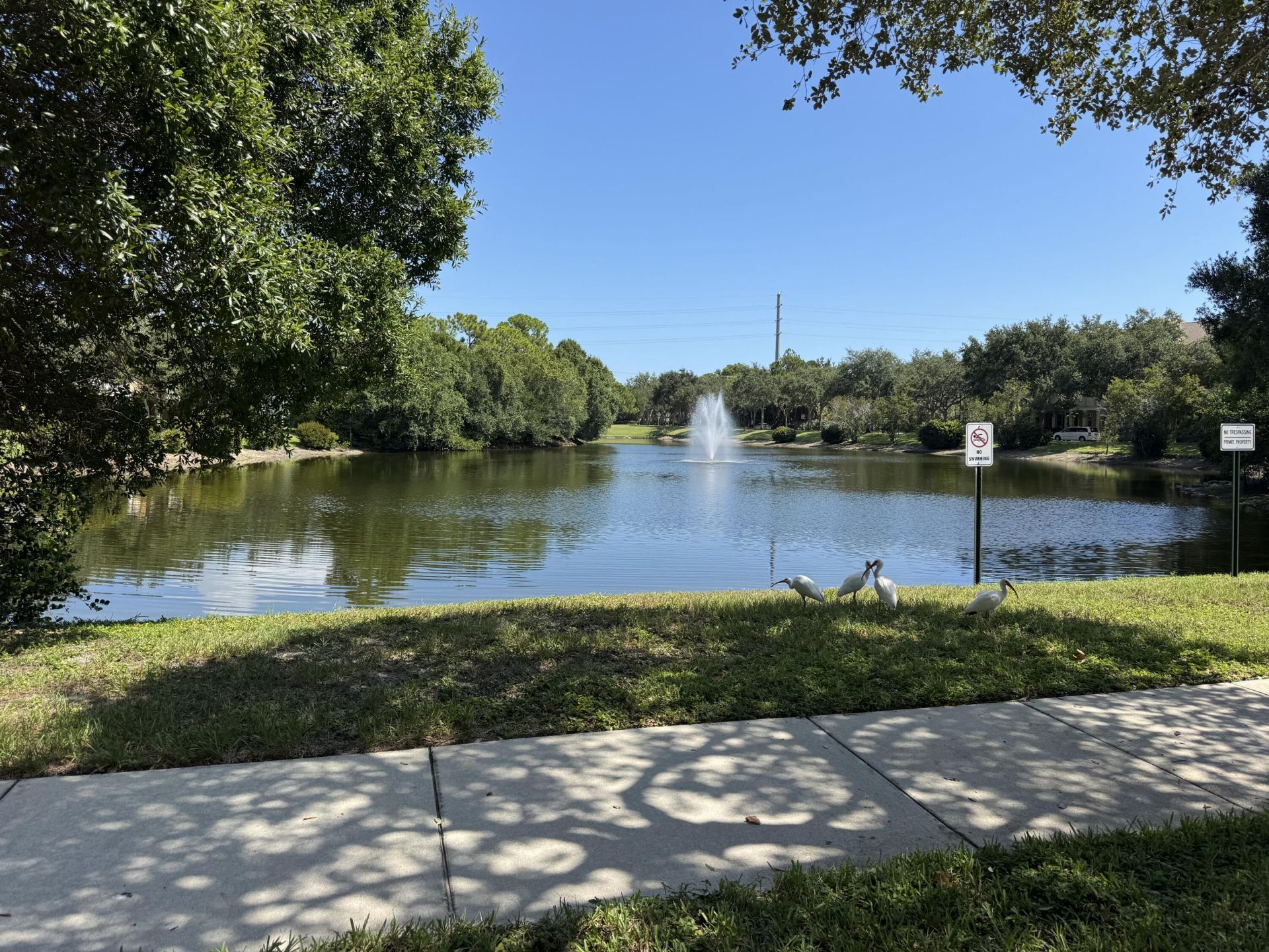 119 Black Ironwood Road, Unit 104, Jupiter, FL 33458 Photo