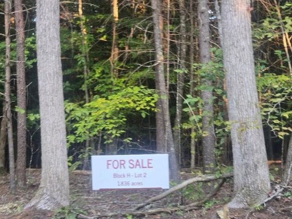 Lot 2 Bk H Ravenwood Drive, Wartburg, TN 37887