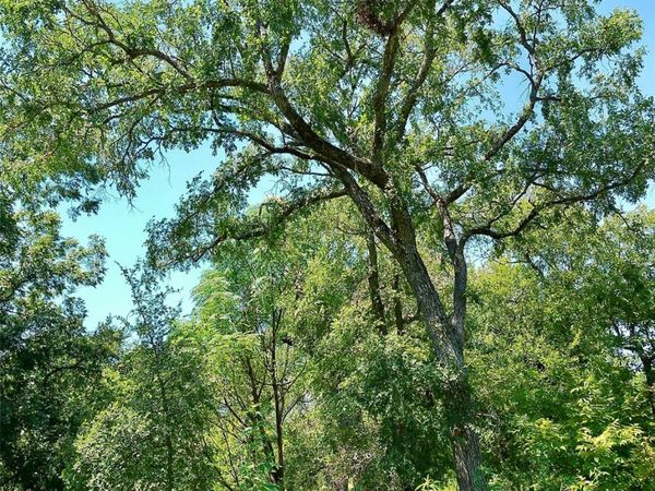 208 Serenity DR, Liberty Hill, TX 78642