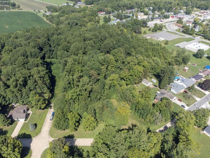 0 Abbott Street, Wakeman, OH 44889 Photo 10