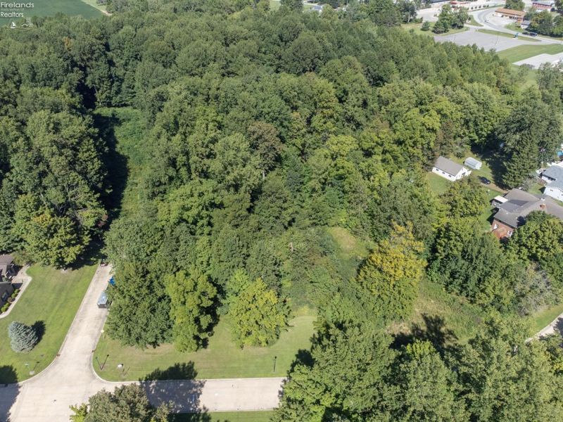 0 Abbott Street, Wakeman, OH 44889 Photo 8