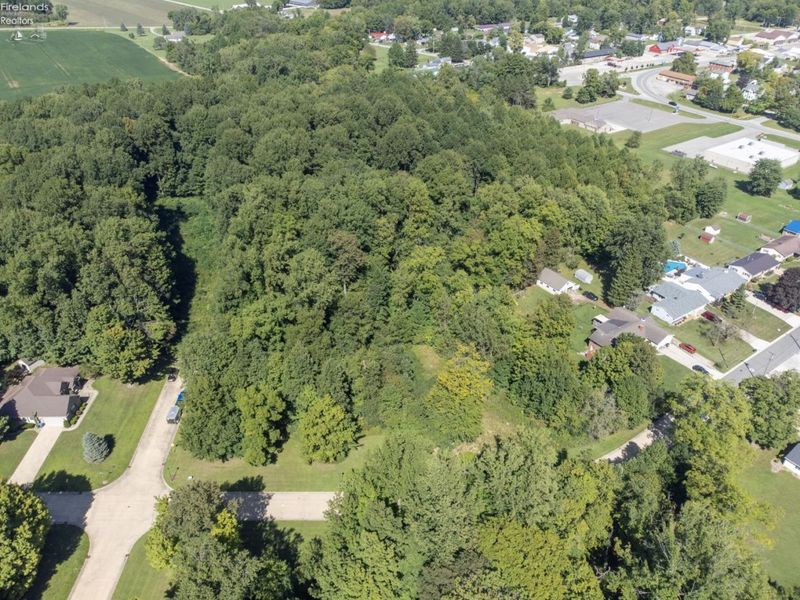 0 Abbott Street, Wakeman, OH 44889 Photo 9