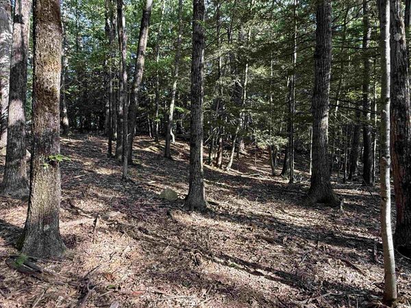0 Meetinghouse Lane, Brattleboro, VT 05301