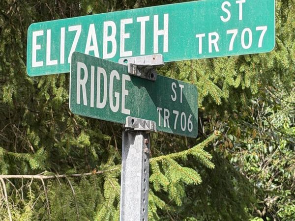 0 Cornor of Elizabeth & Ridge Street, Elmhurst, PA 18444