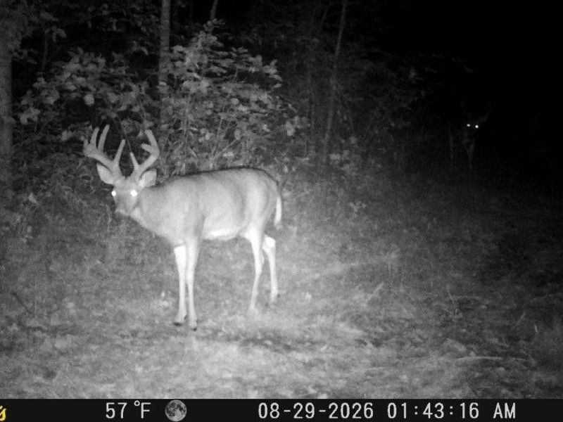 Private Road 3000, Millersburg, OH 44654 Photo 10
