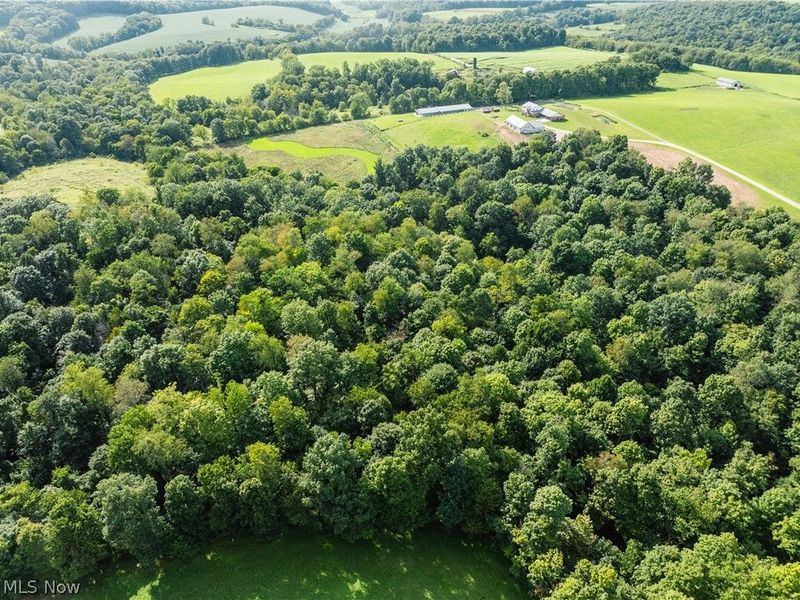 Private Road 3000, Millersburg, OH 44654 Photo 11