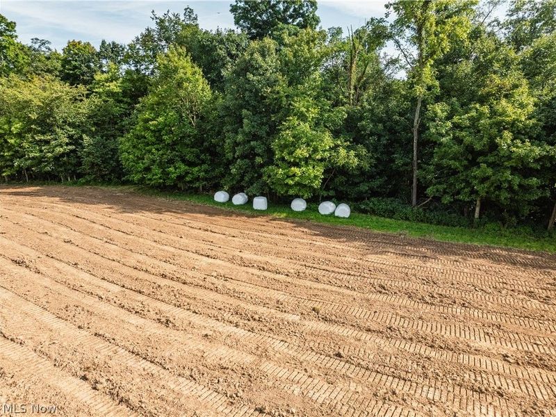Private Road 3000, Millersburg, OH 44654 Photo 15