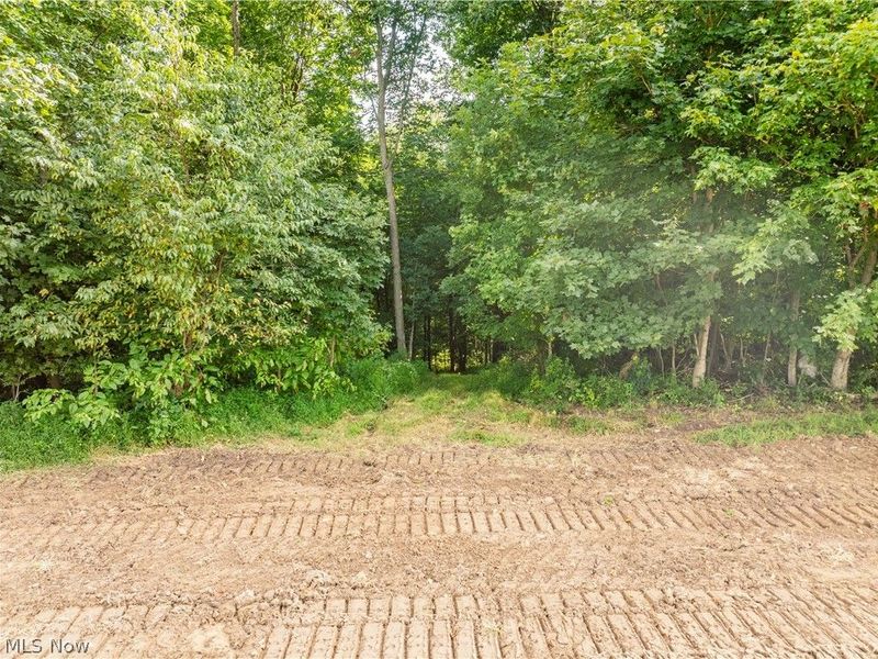 Private Road 3000, Millersburg, OH 44654 Photo 18