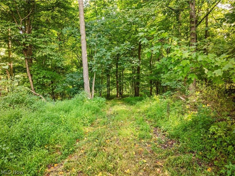 Private Road 3000, Millersburg, OH 44654 Photo 19